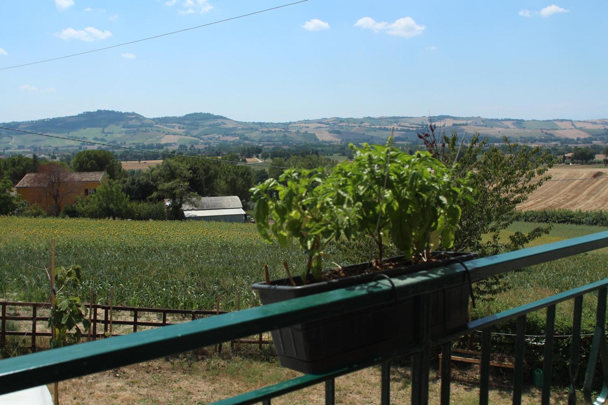 Apartamento Casa Formica San Pietro di Recanati Exterior foto
